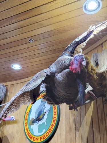 Turkey group is sending museum’s collection to Mo.